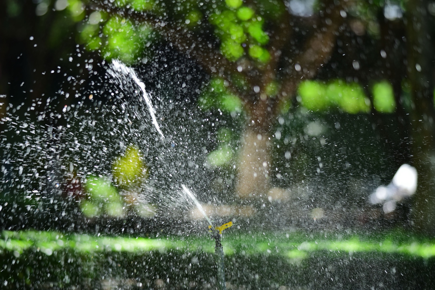 Fertilization & Weed Control