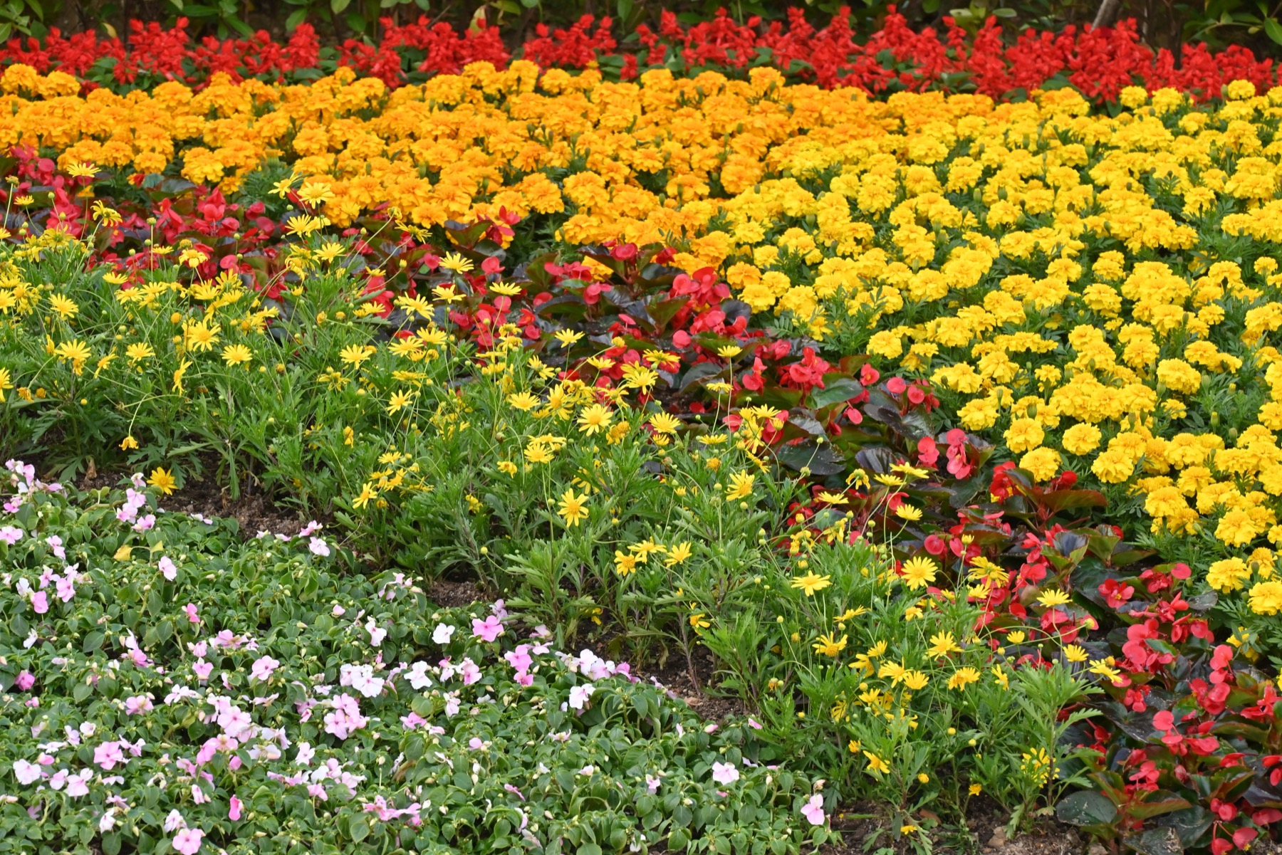 Landscaping Design & Installation